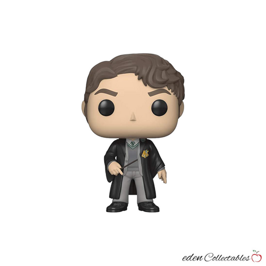 Harry Potter - Tom Riddle 60 Funko Pop (No Box or Insert Included)